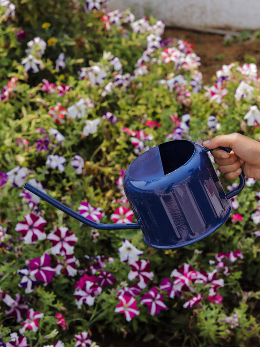Watering Can - Blue