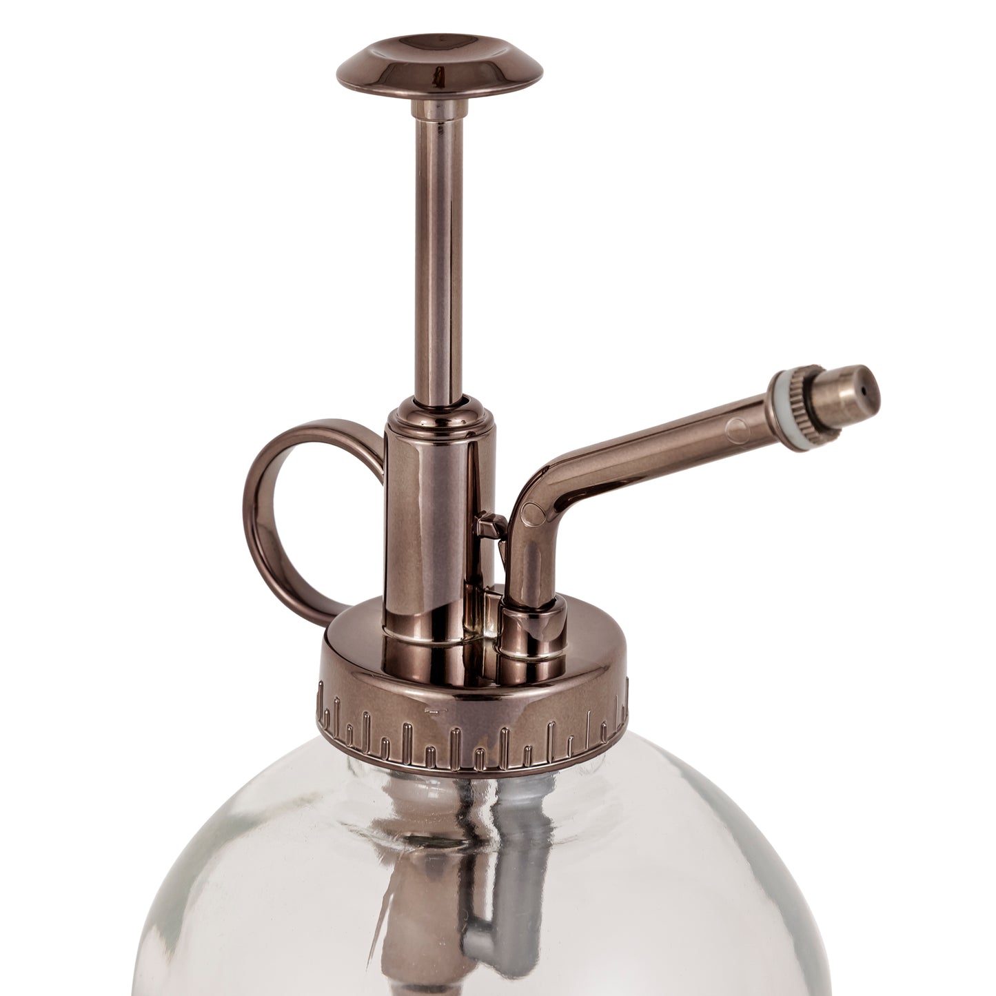 Misty Plant Spray Glass Metal Bottle