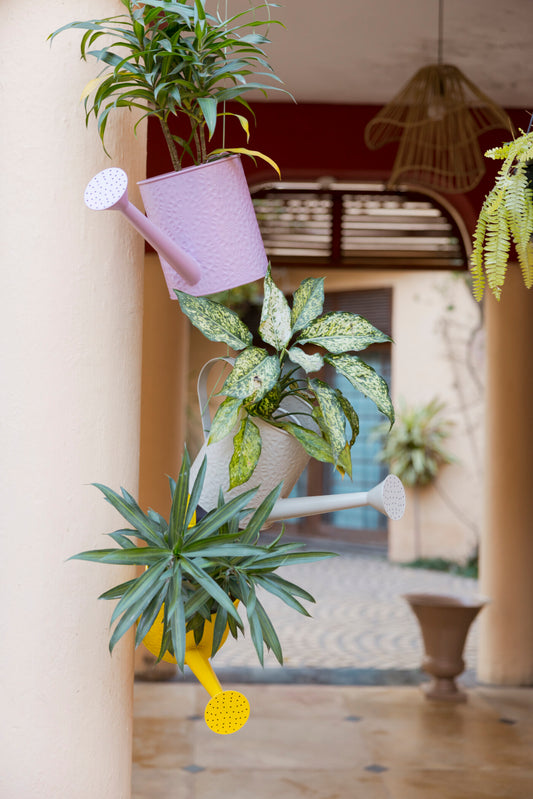 Etch Solid metal Watering Can