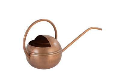 Stylish Modern Watering Can