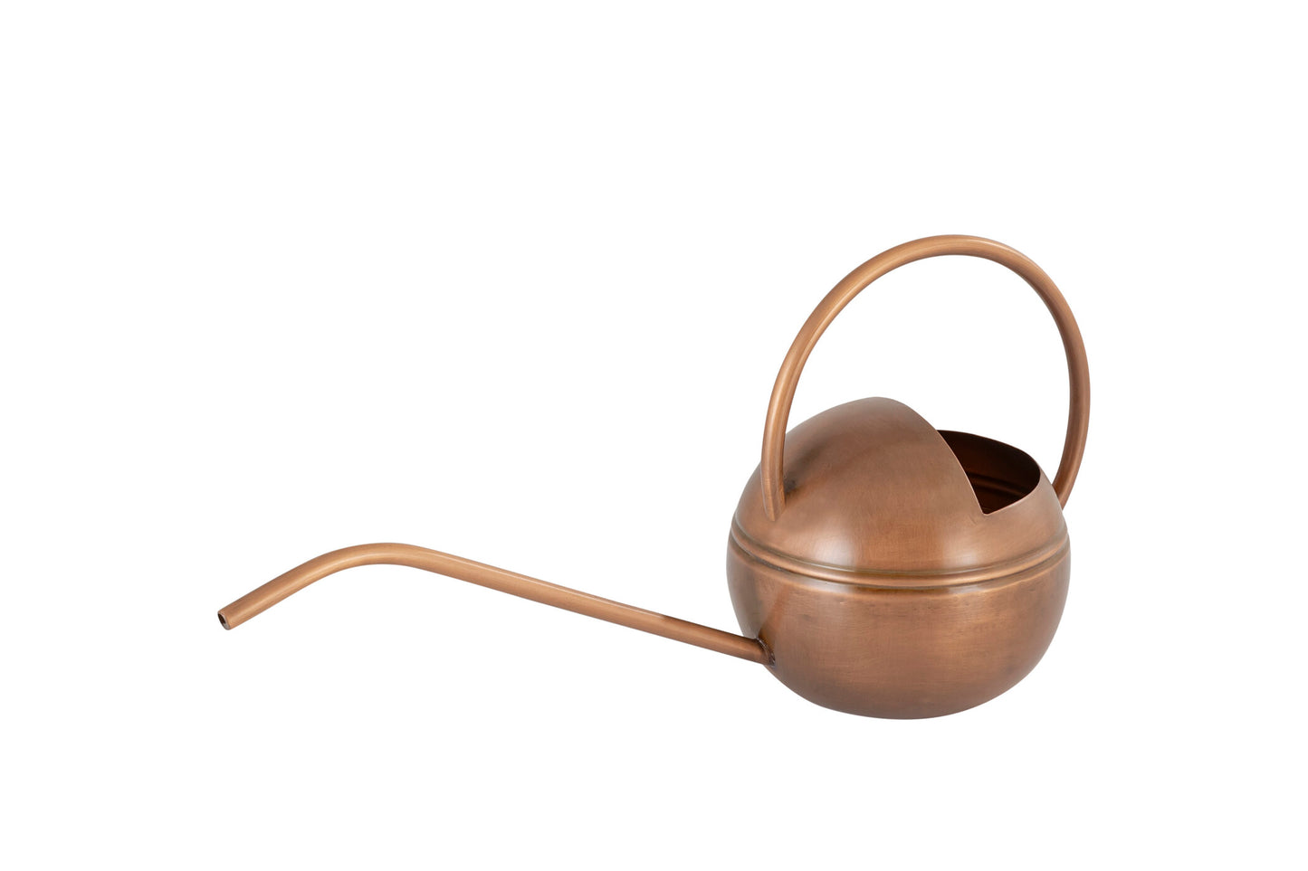 Stylish Modern Watering Can