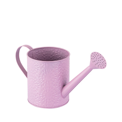 Etch Solid metal Watering Can