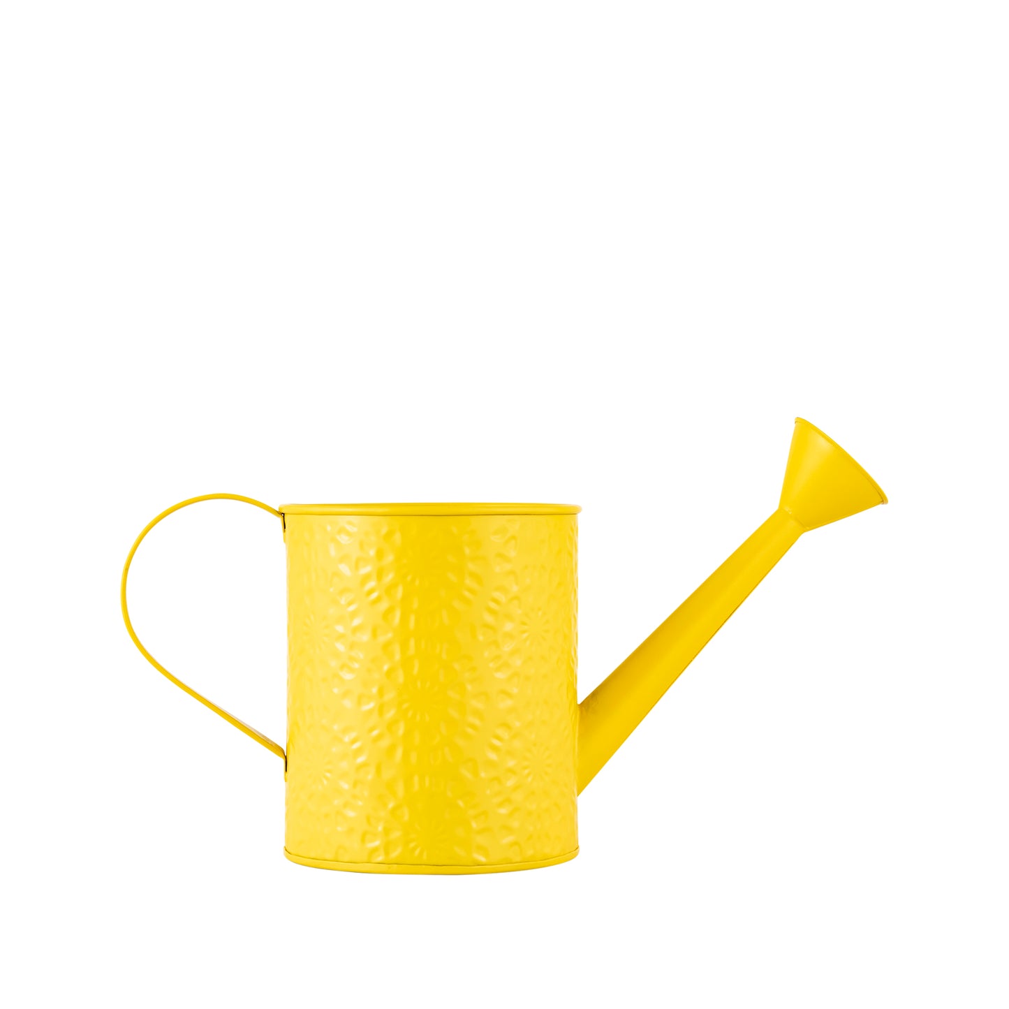 Etch Solid metal Watering Can