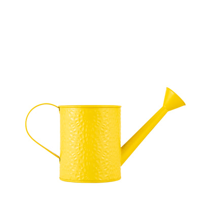 Etch Solid metal Watering Can
