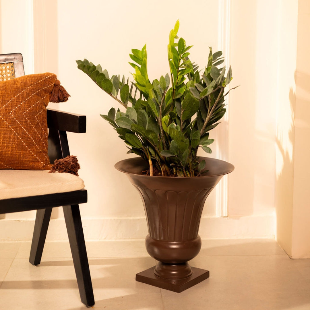 ROMAN CUP METAL PLANTER