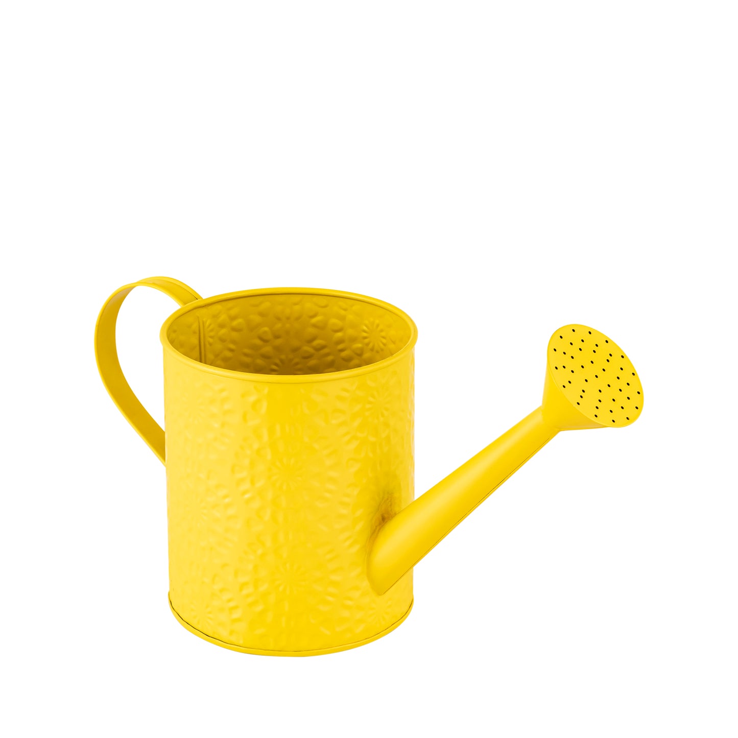 Etch Solid metal Watering Can