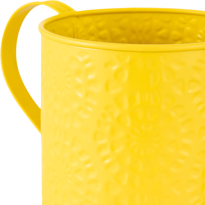 Etch Solid metal Watering Can