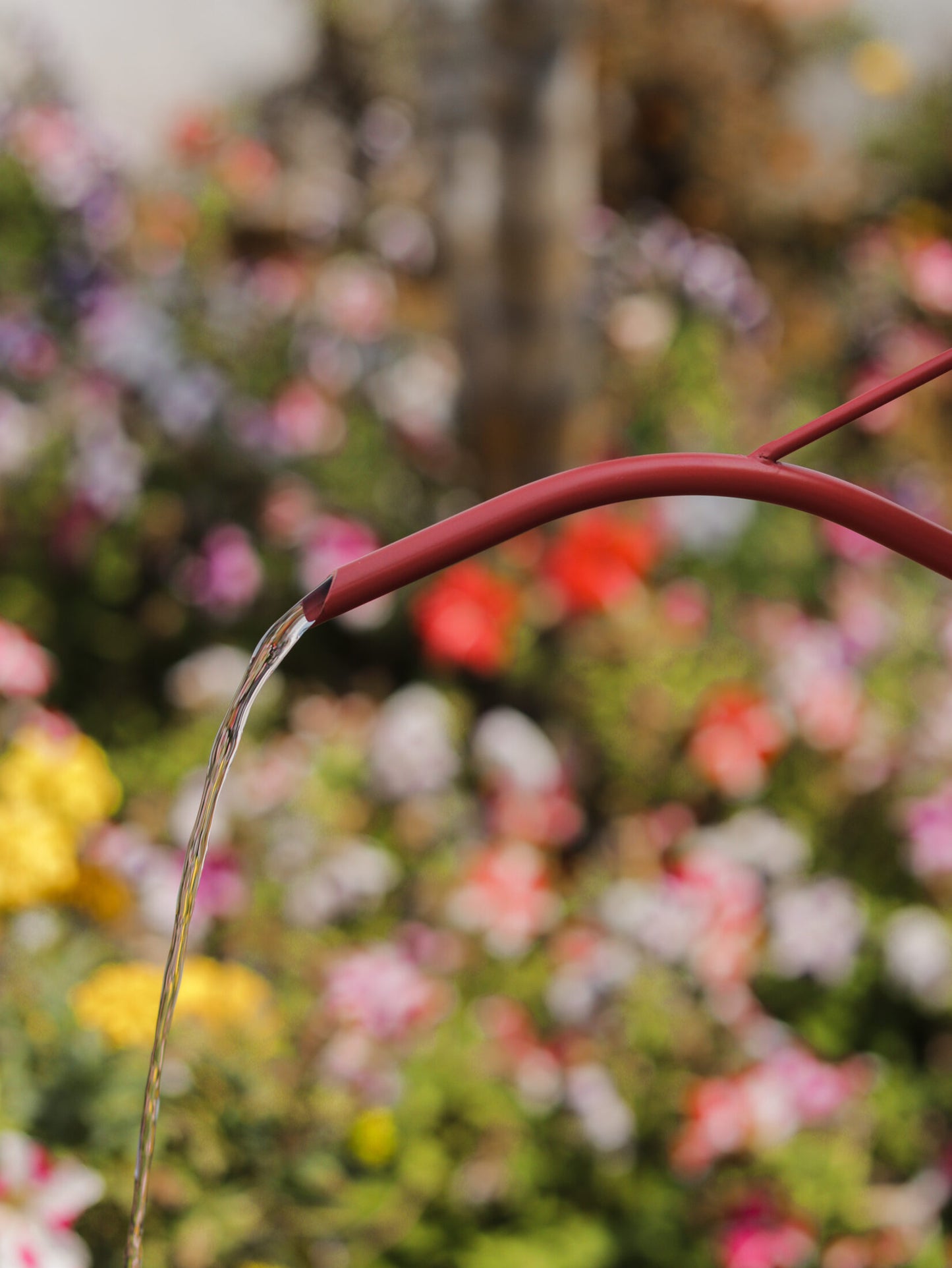 Watering Can - Pink