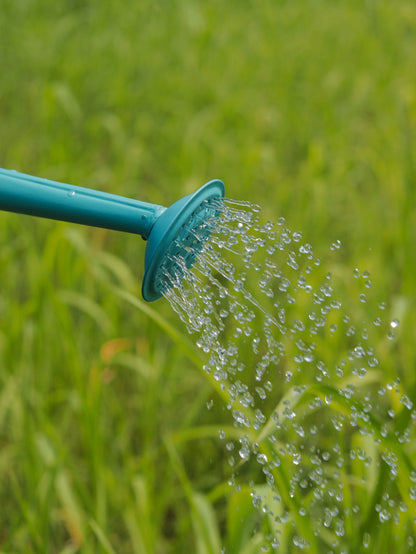 Spring Dance Printed Watering Can