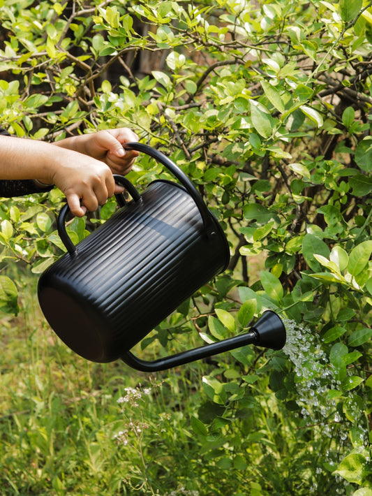 Flutted Metal Black Watering Can