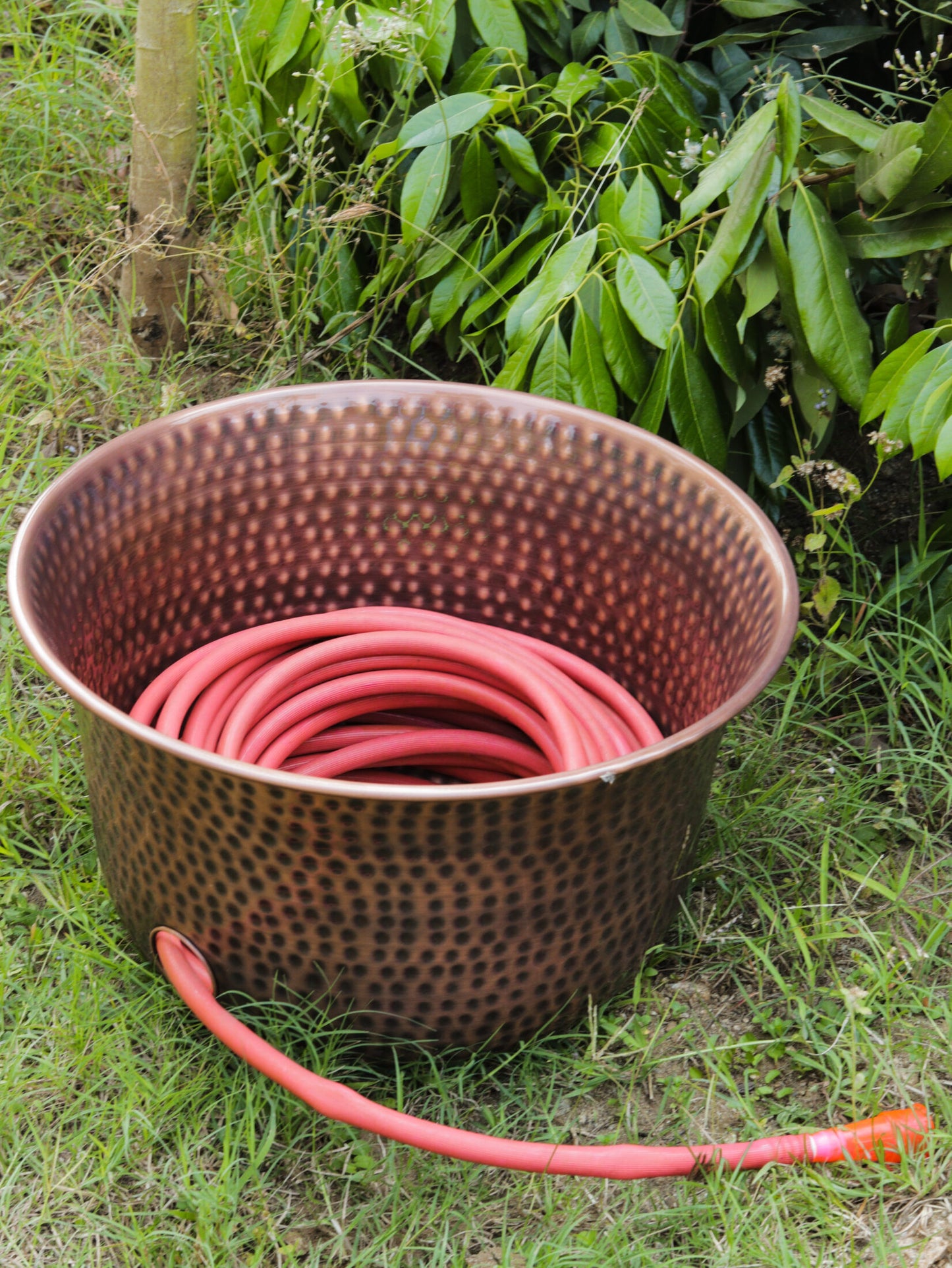 Hammered Hose Pot