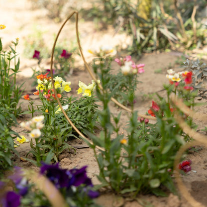 Metal Gold Plant Support - Set of 4