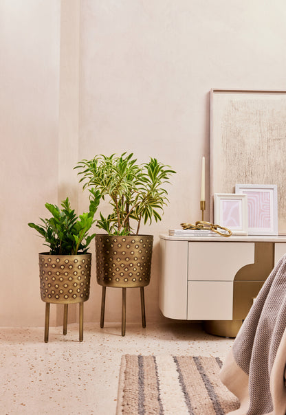 CROCO ANTIQUE IRON METAL PLANTER- SET OF 2