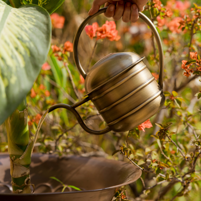 Yogi Metal Watering Can