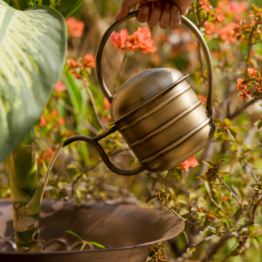 Yogi Metal Watering Can
