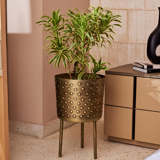 CROCO ANTIQUE IRON METAL PLANTER- SET OF 2