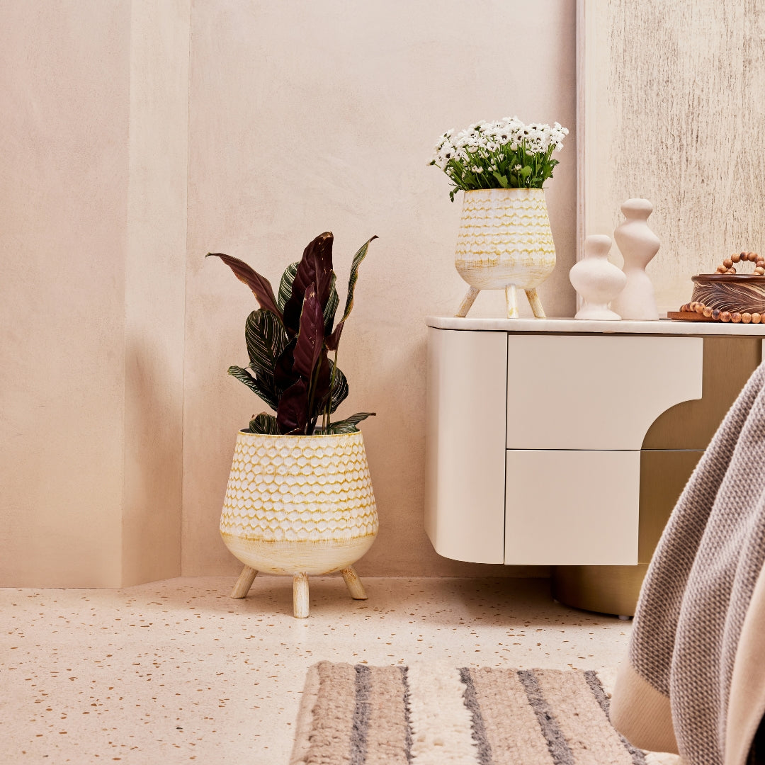 ARGYLE ANTIQUE IRON METAL PLANTER