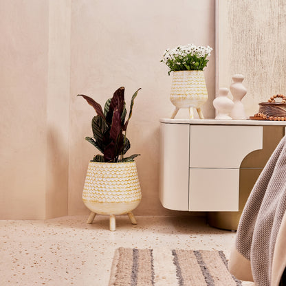 ARGYLE ANTIQUE IRON METAL PLANTER