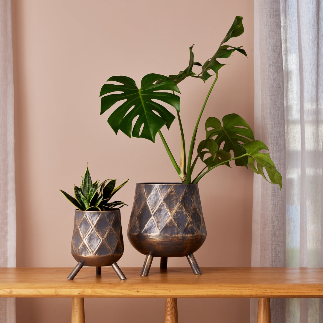 ARGYLE ANTIQUE IRON METAL PLANTER