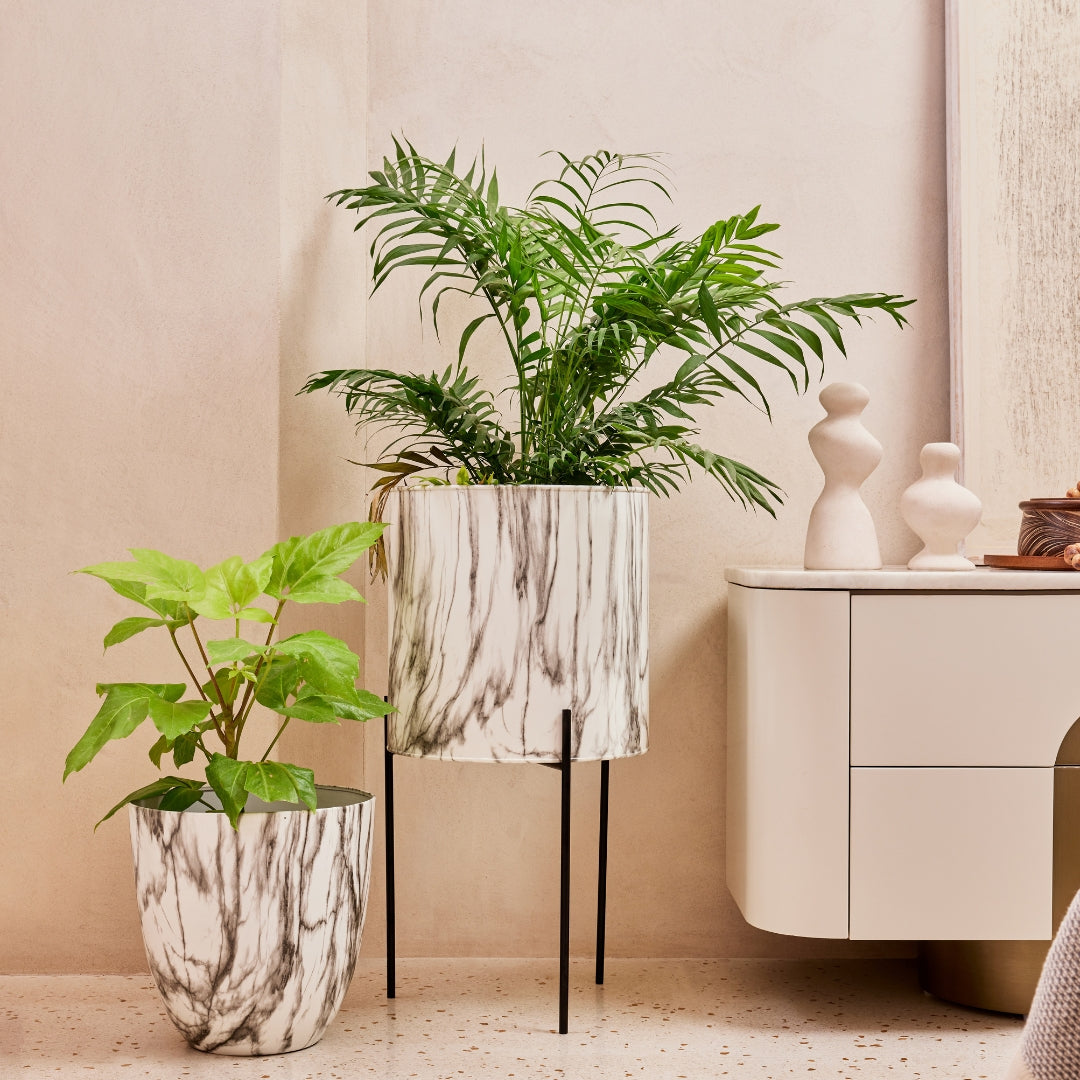 CARERRA WHITE BLACK METAL PLANTER