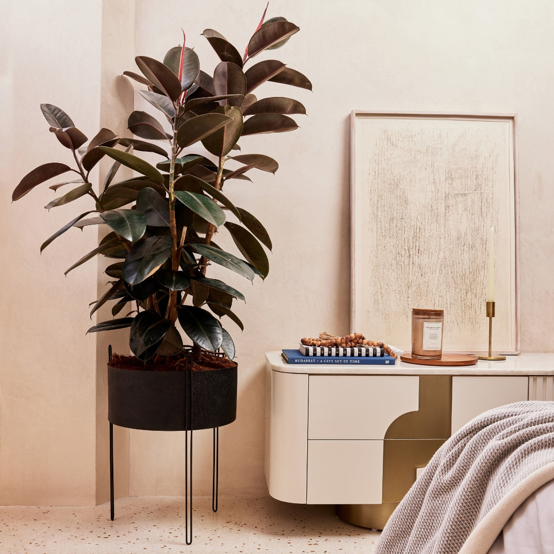 IRIS METAL FLAT SURFACE PLANTER