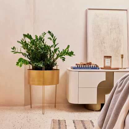 IRIS METAL FLAT SURFACE PLANTER