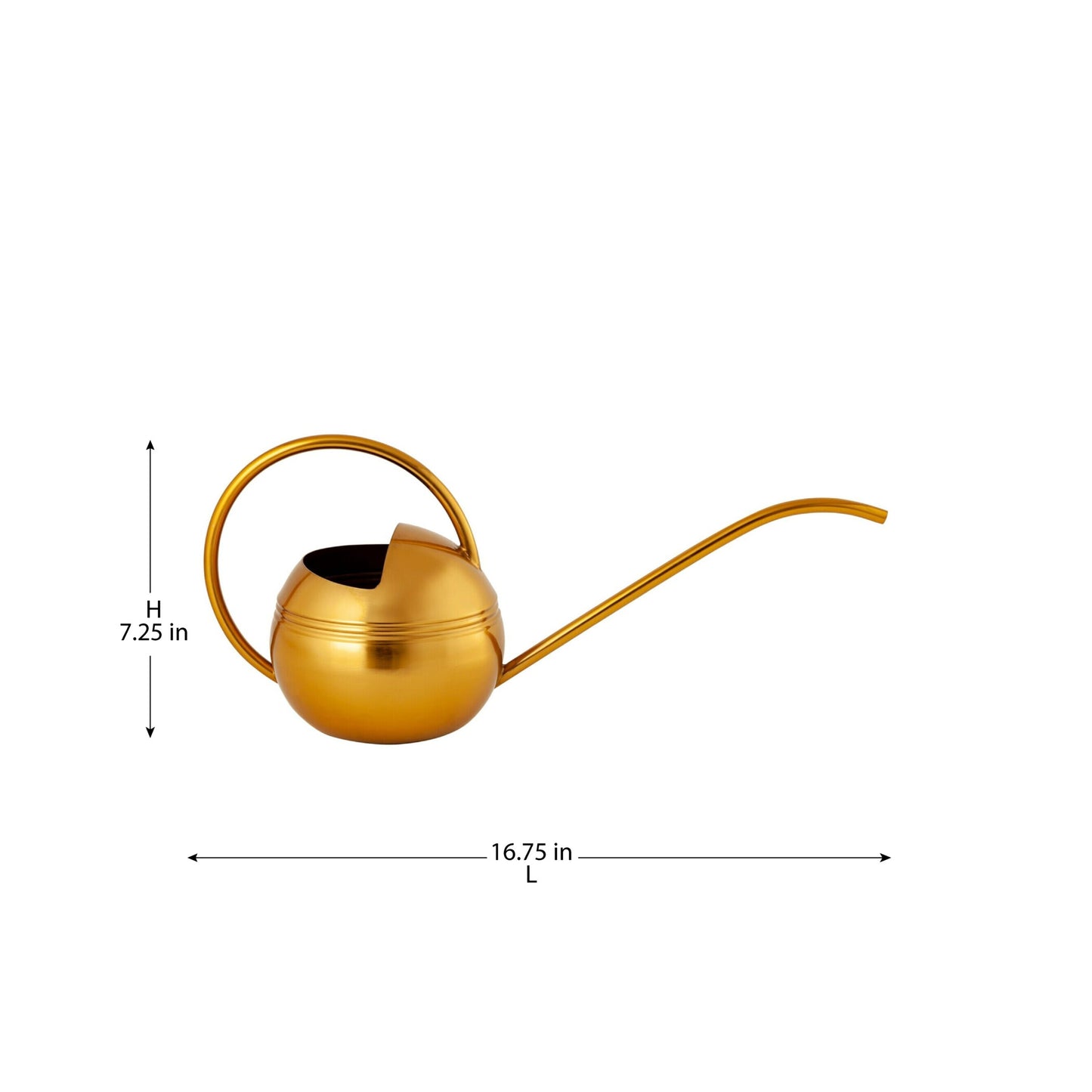 Stylish Modern Watering Can