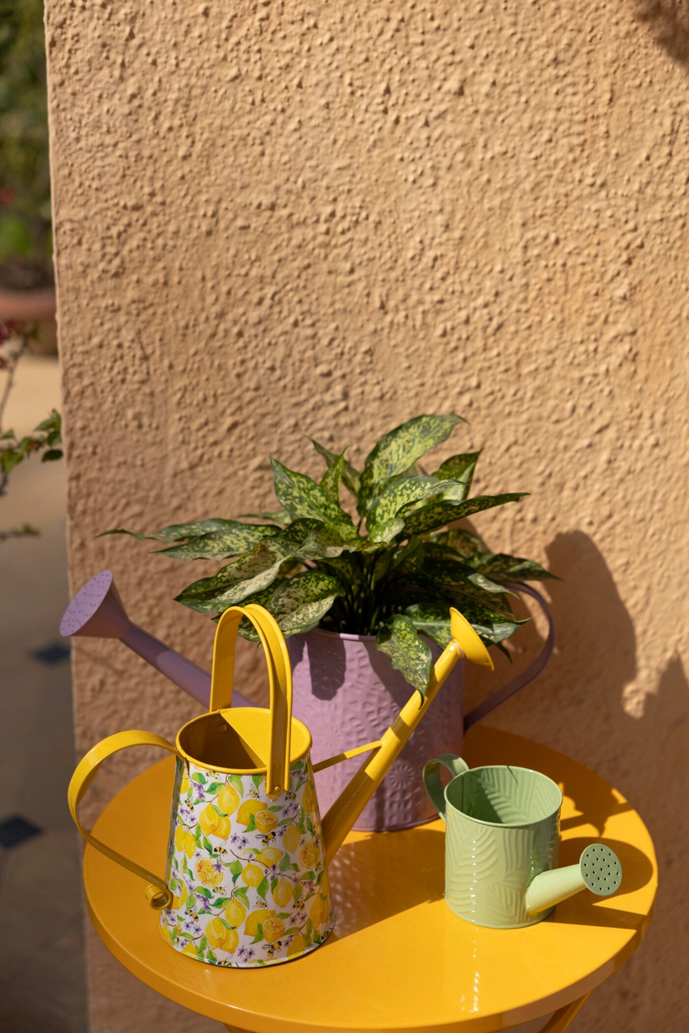 Spring Dance Printed Watering Can