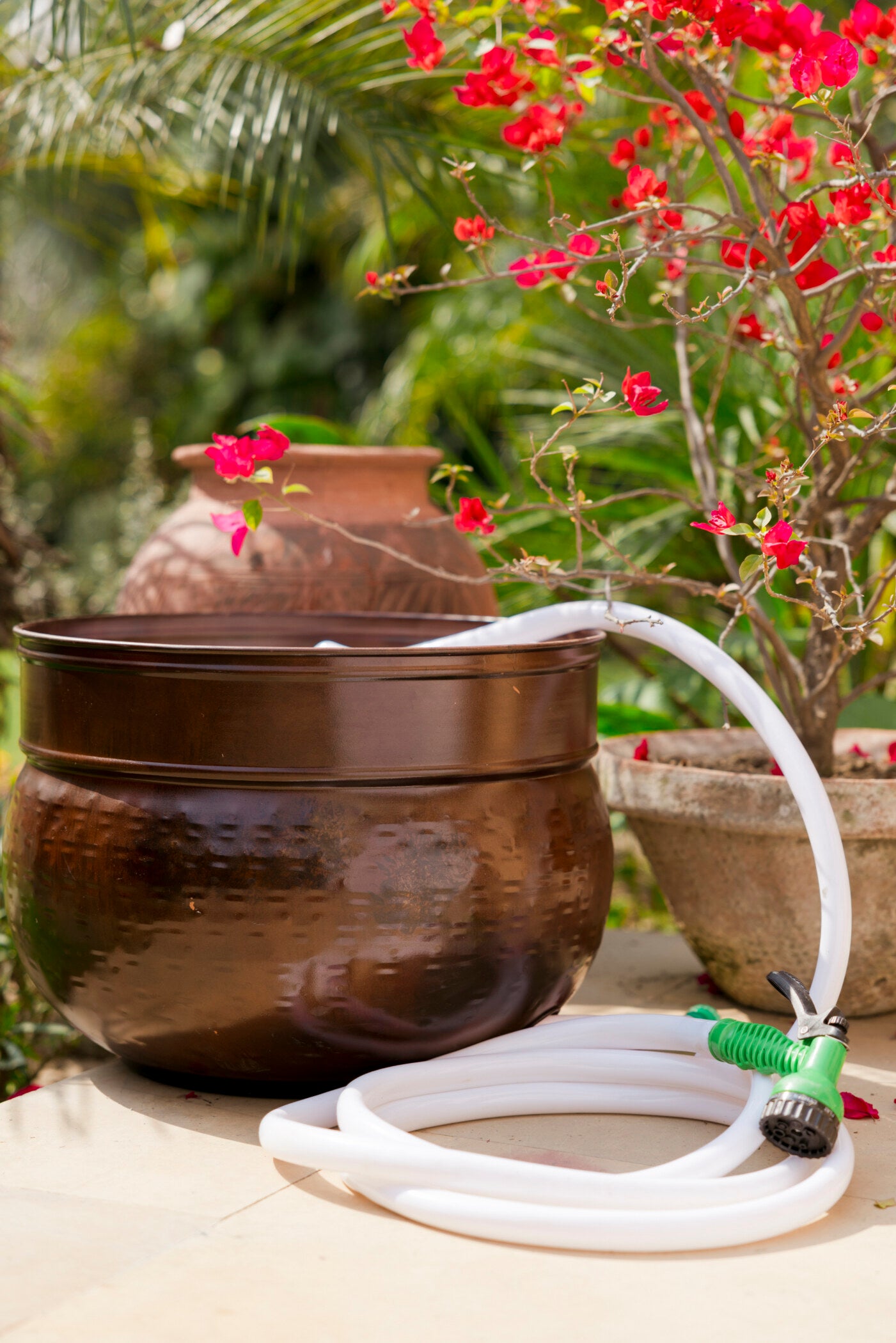 Hola Antique Metal Hose Pot