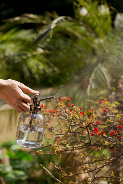 Misty Plant Spray Glass Metal Bottle