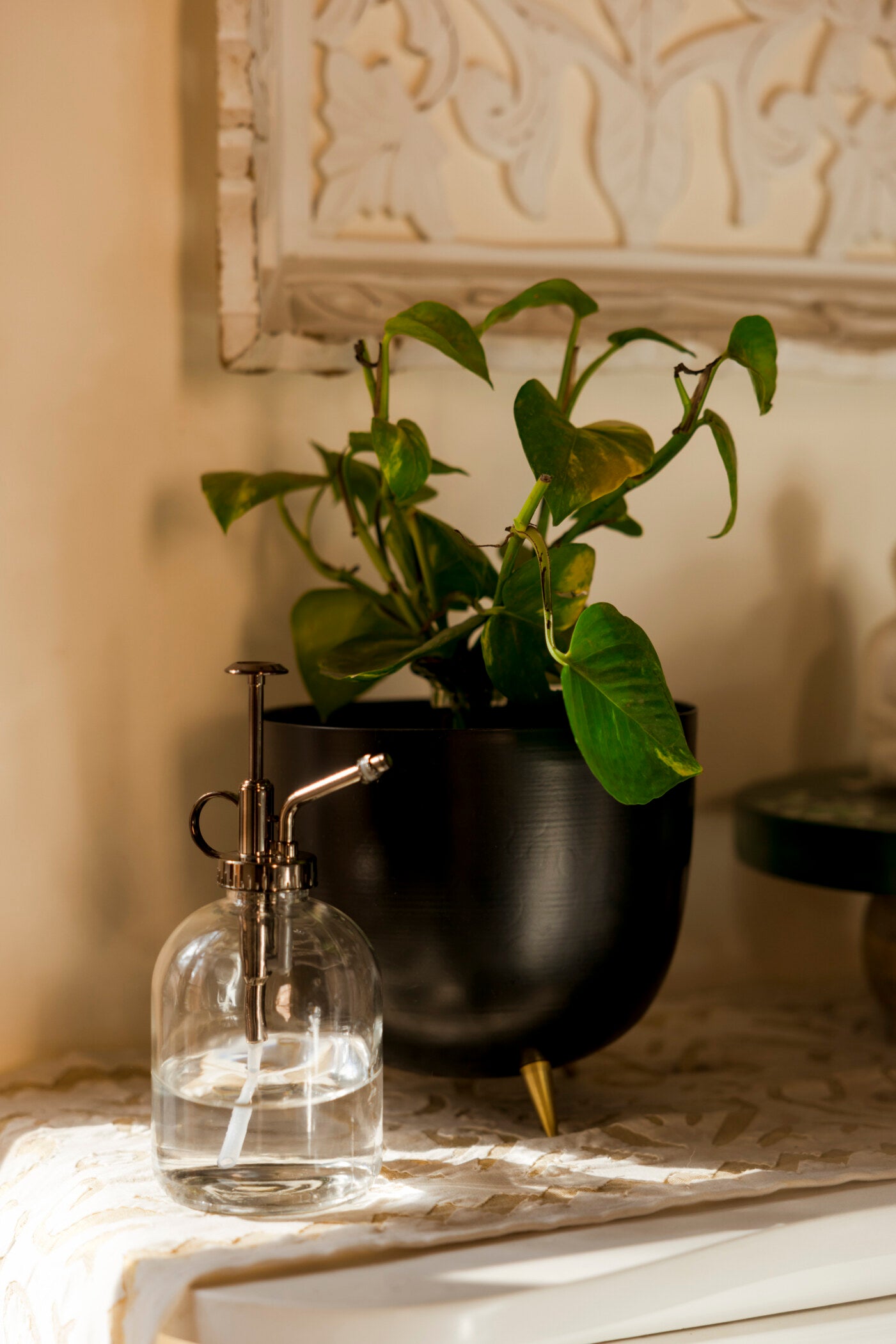 Misty Plant Spray Glass Metal Bottle