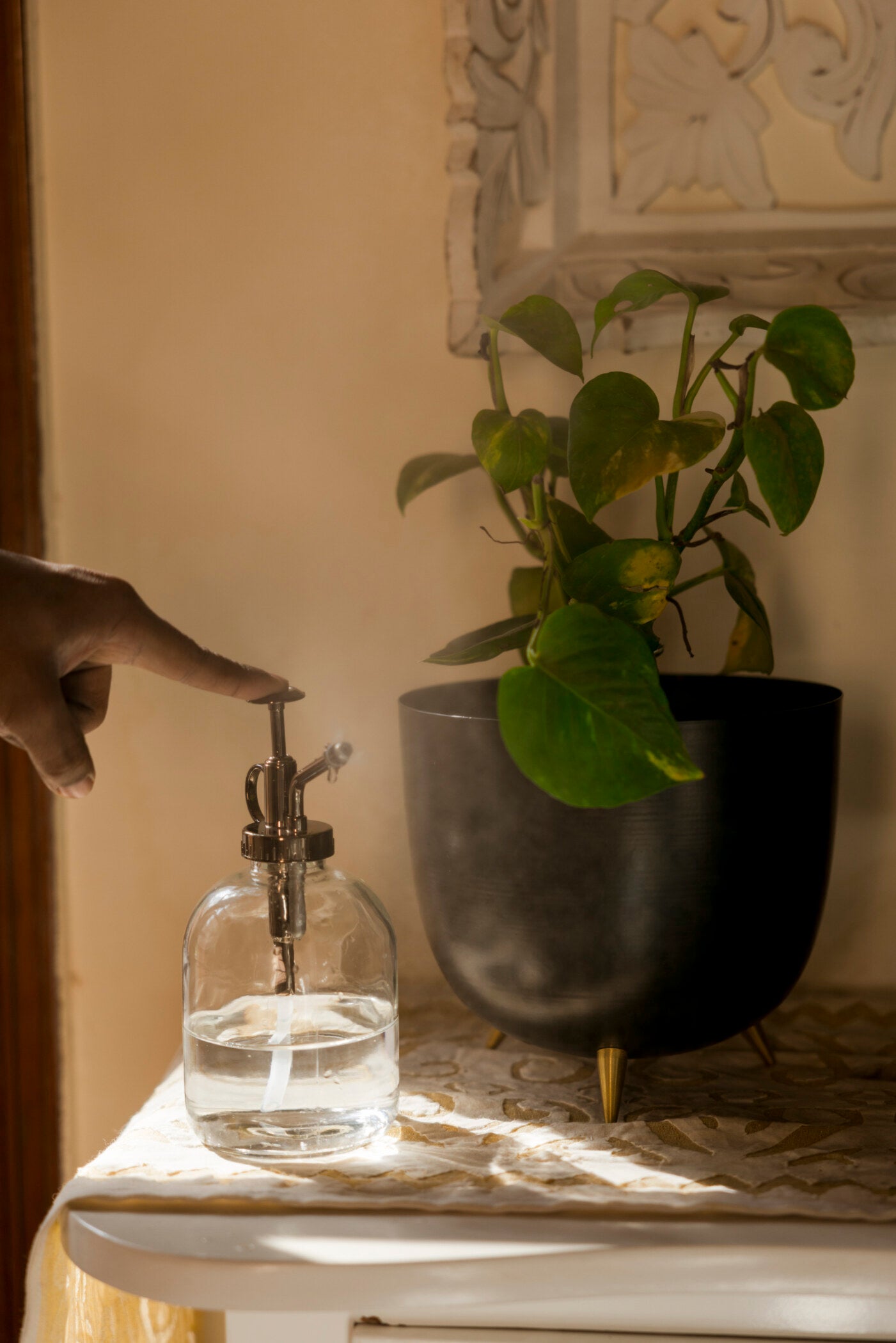 Misty Plant Spray Glass Metal Bottle