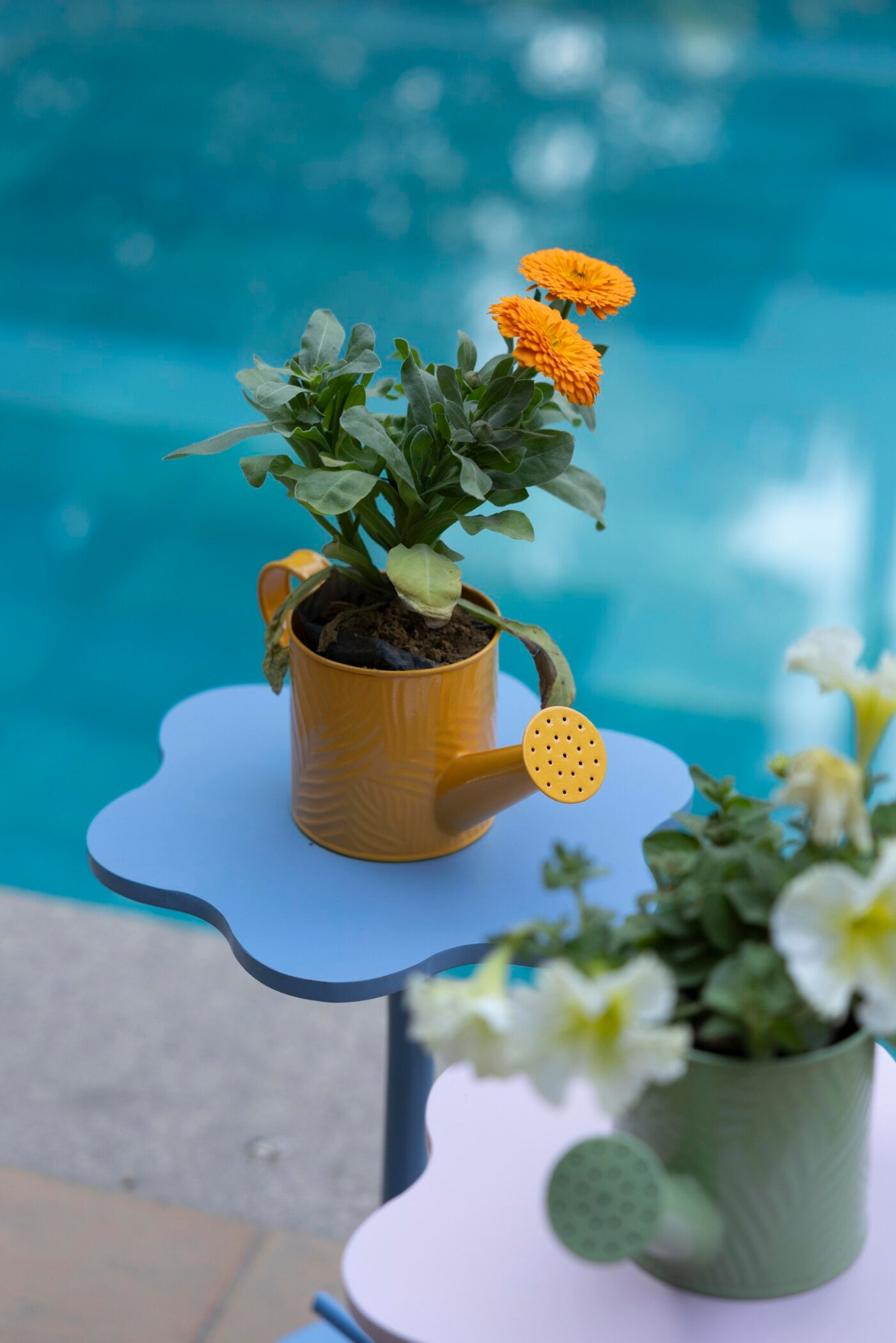 Daisy Mini Metal Watering Can