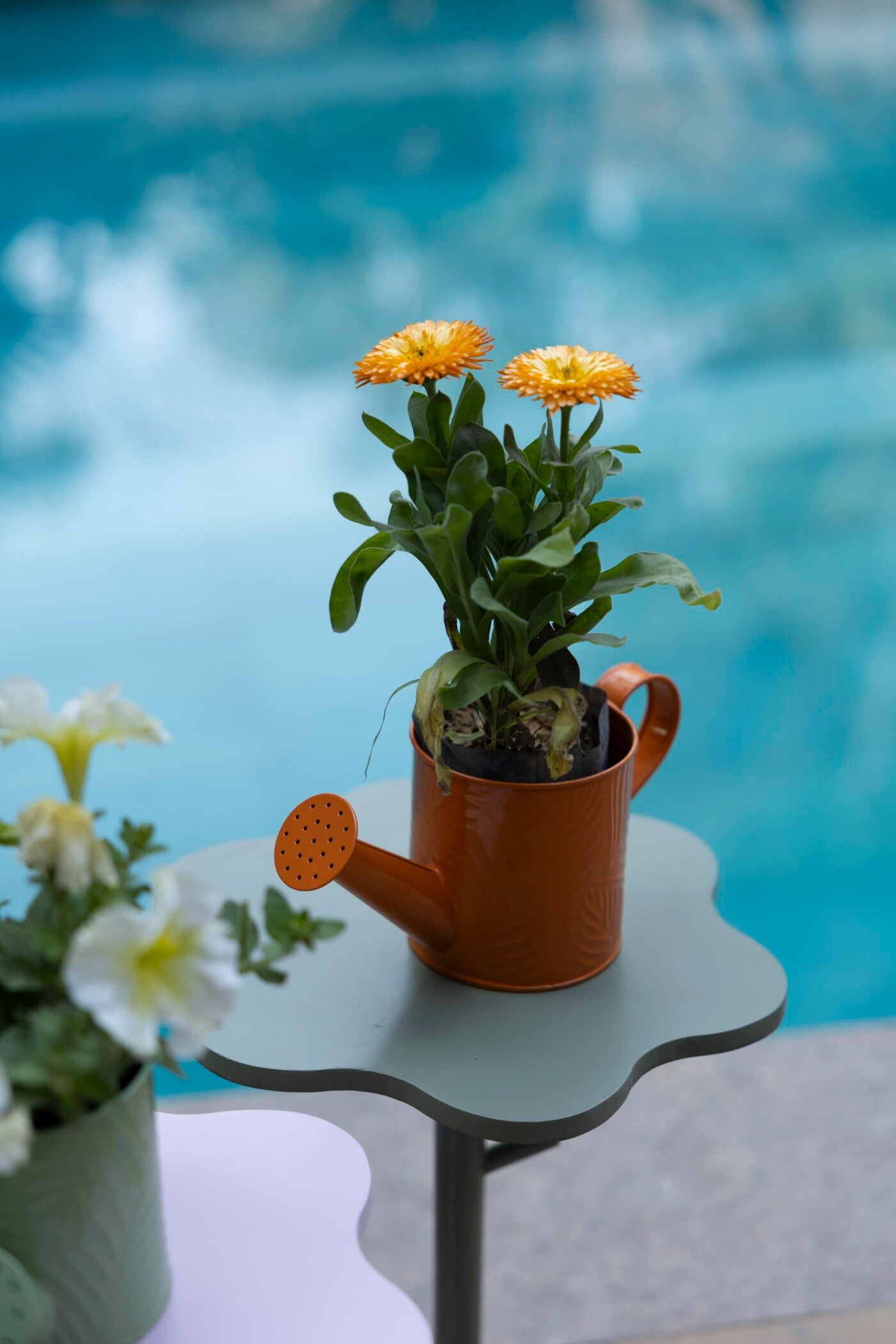 Daisy Mini Metal Watering Can