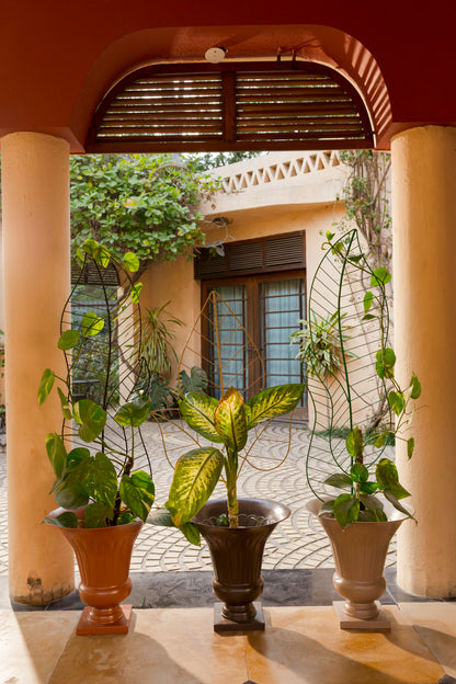 Leaf Metal Plant Supporter - Set of 3