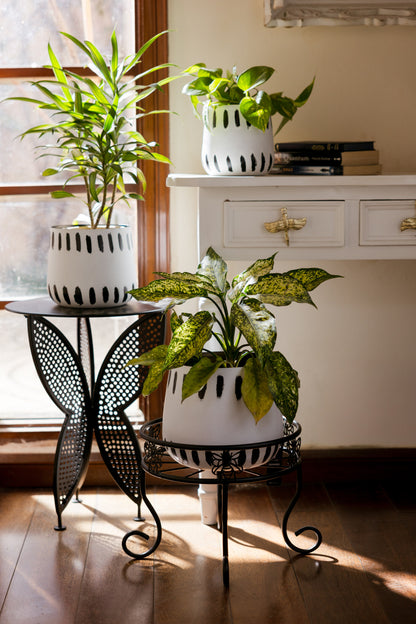 Swallow Tail Metal Black Accent Table