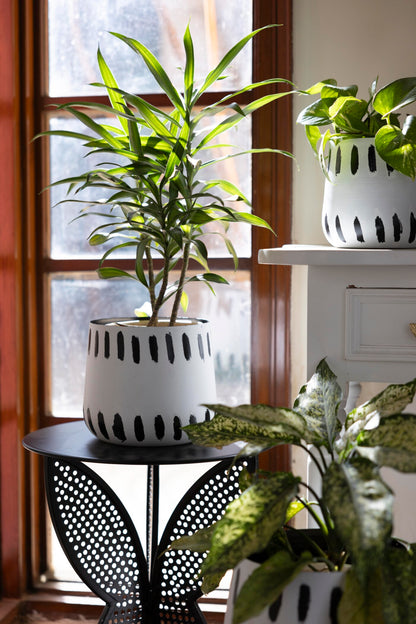 Swallow Tail Metal Black Accent Table