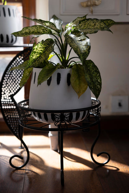 Bumblebee Metal Black Plant Stand