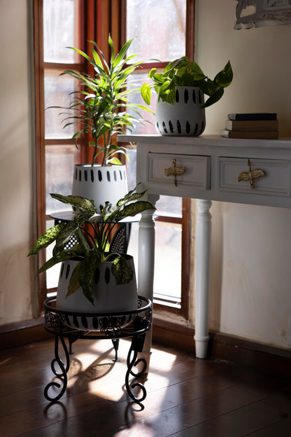 Bumblebee Metal Black Plant Stand