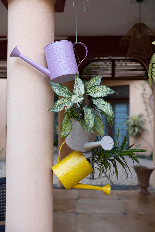 Etch Solid metal Watering Can