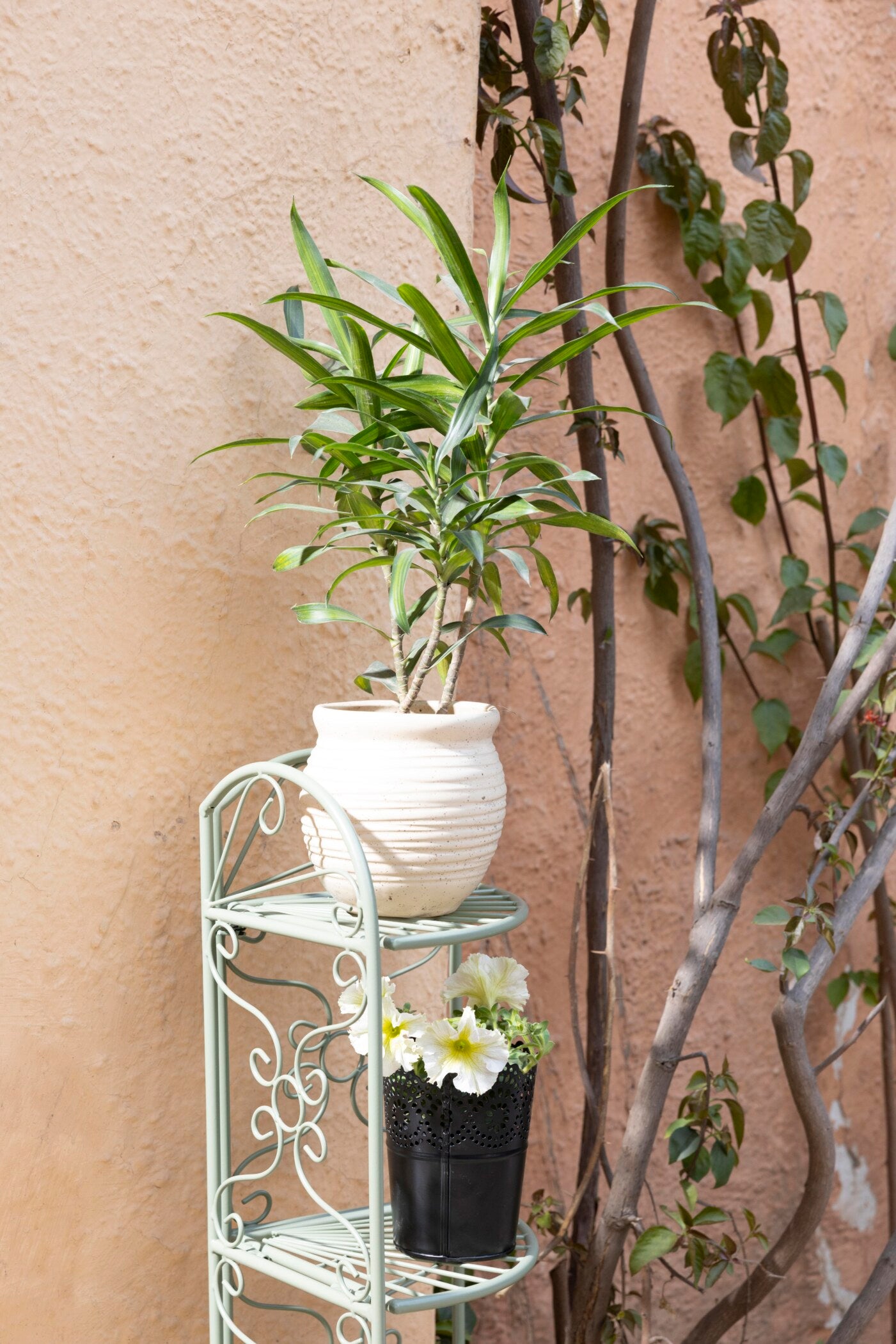 Trellis 3-Tier Corner Metal Plant Stand