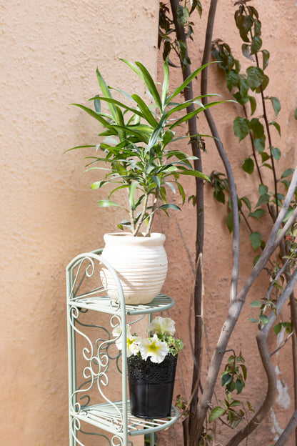 Trellis 3-Tier Corner Metal Plant Stand