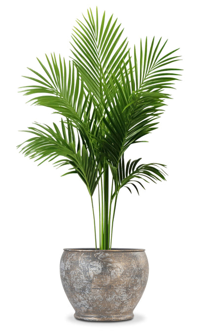 VINTAGE BIG METAL TEXTURE PLANTER- SET OF 2