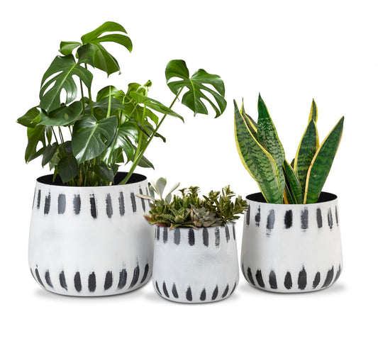 DASH WHITE BLACK METAL PLANTER