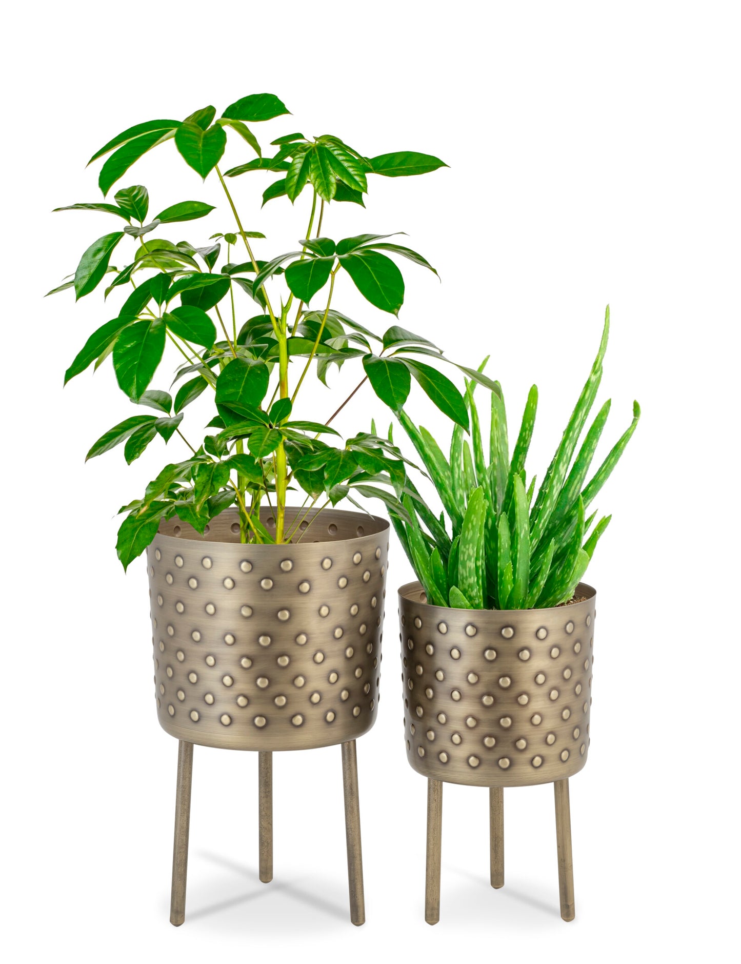 CROCO ANTIQUE IRON METAL PLANTER- SET OF 2