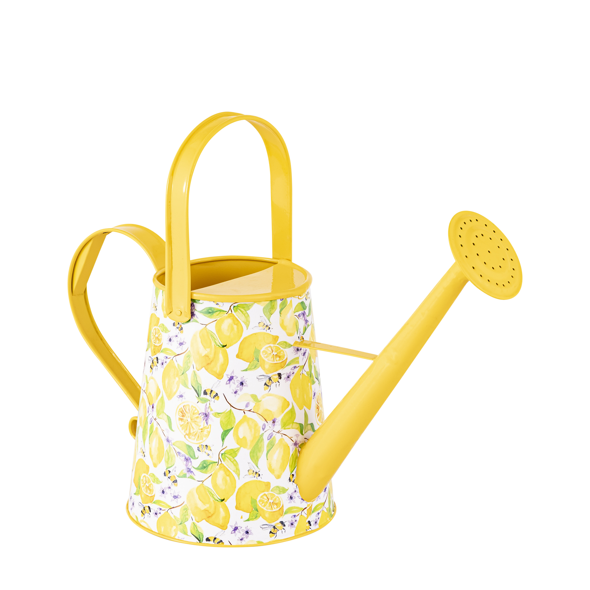 Spring Dance Printed Watering Can - Image 15