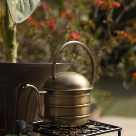 Yogi Metal Watering Can