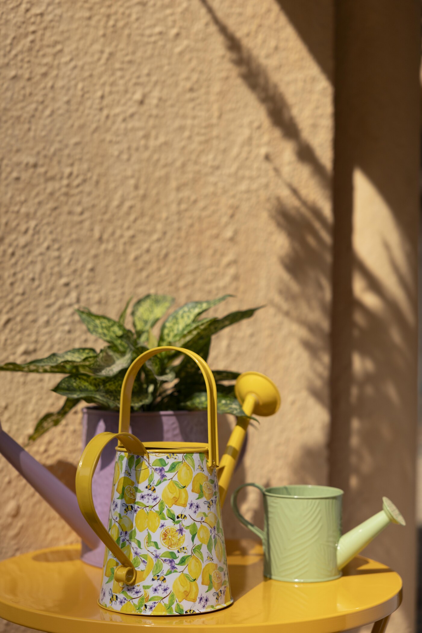 Spring Dance Printed Watering Can - Image 11