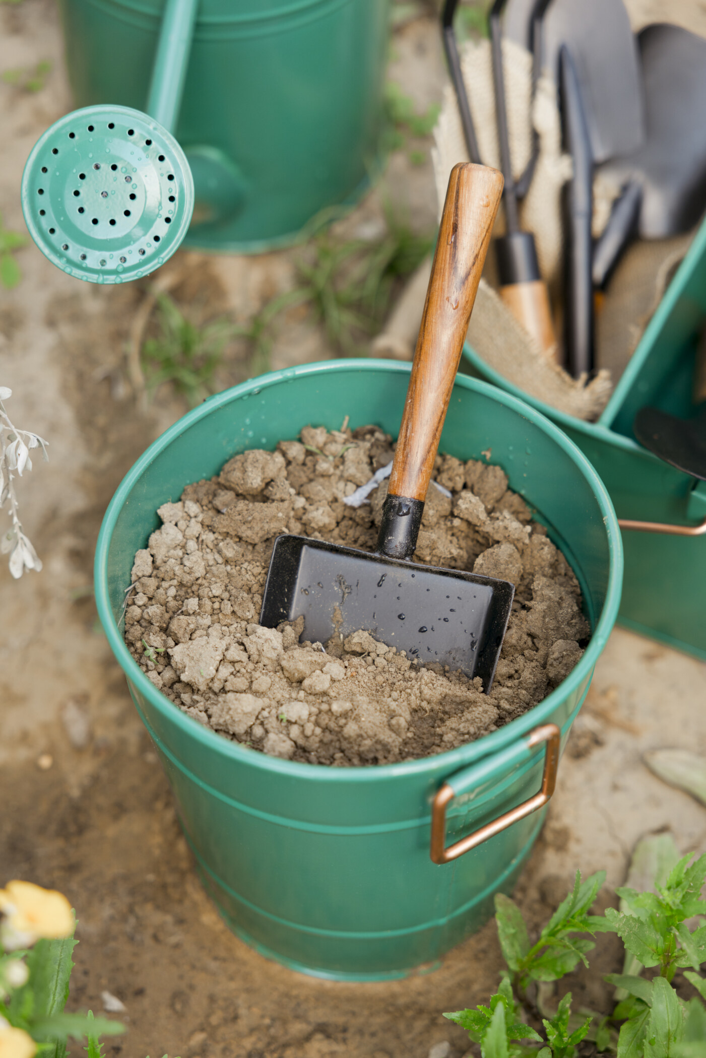 Royale Gardening Set - Image 5