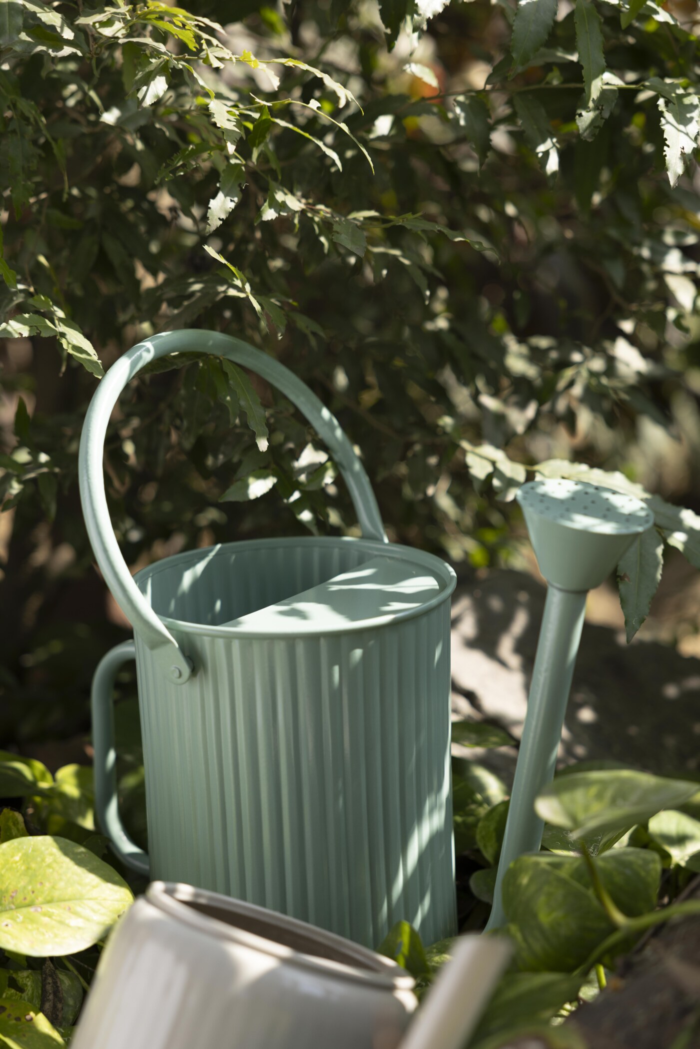 Flutted Metal Black Watering Can - Image 7